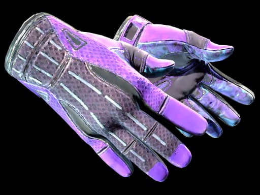 Sport Gloves | Pandoras Box